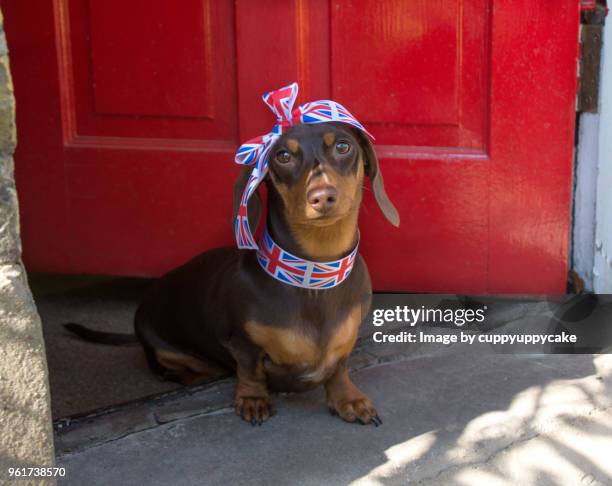 royal girl - union jack ribbon stock pictures, royalty-free photos & images