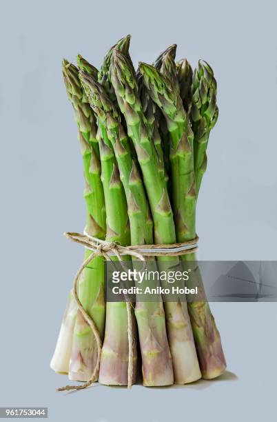 bundled green asparagus - aniko hobel 個照片及圖片檔