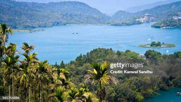 sun moon lake and the palms - sun and palms stock-fotos und bilder