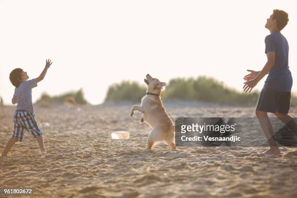 kids playing with dog at the beach - dogs in sand stock pictures, royalty-free photos & images