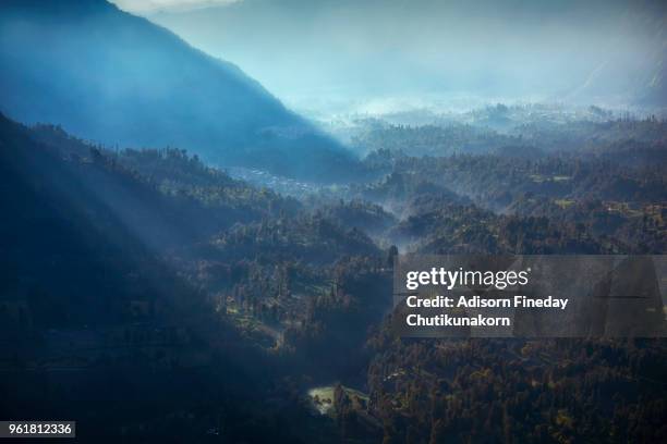 comaro lawang village in the mist. - bromo crater 個照片及圖片檔