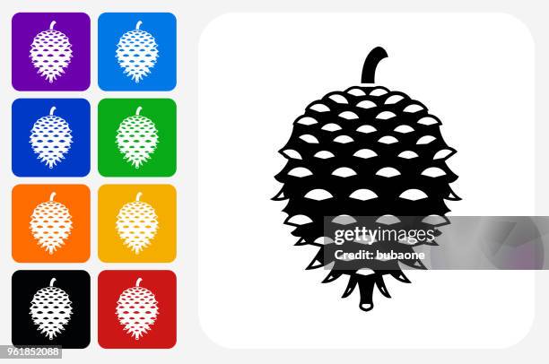 pine tree seed icon square button set - pine seedling stock illustrations