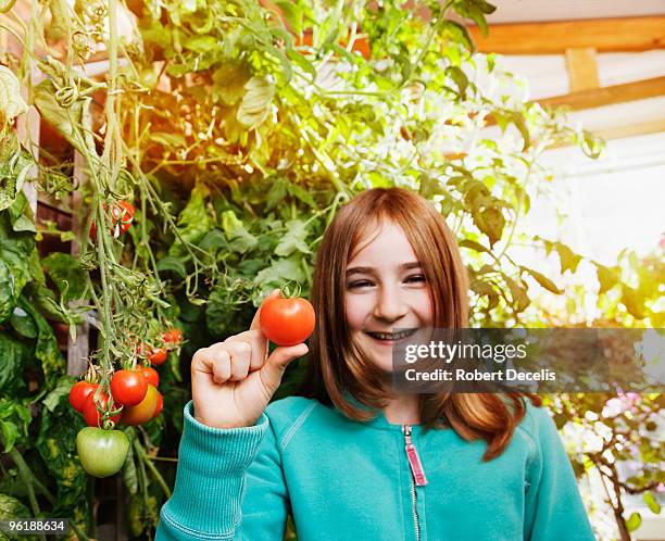 girl holding tomato to camera. - adac stock pictures, royalty-free photos & images