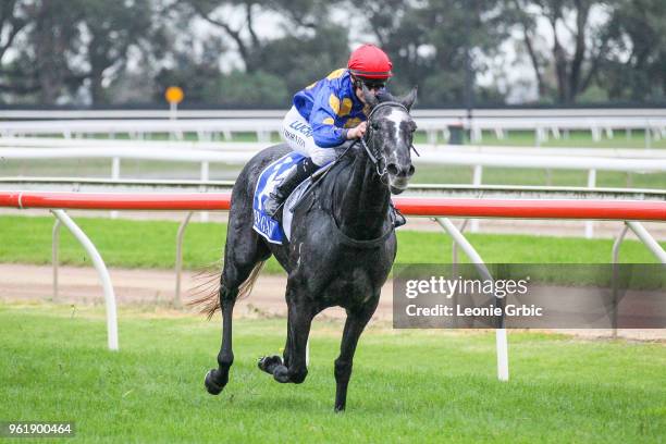 Reliabelle ridden by Stephanie Thornton wins the StrathAyr Maiden Plate at Moe Racecourse on May 24, 2018 in Moe, Australia.