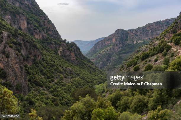 kadisha valley (qadisha valley) considered an area of outstanding natural beauty, northern lebanon - malcolm hill fotografías e imágenes de stock