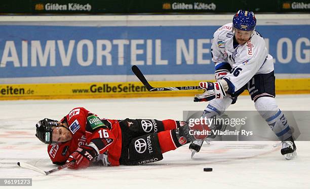 Jason Jaspers of Haie falls after a battle with Yannic Seidenberg of Adler during the DEL game between Koelner Haie and Adler Mannheim at Lanxess...