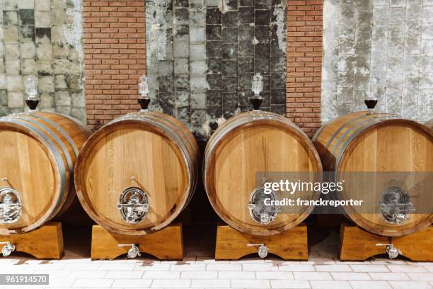 wine cellar - cellar stock pictures, royalty-free photos & images