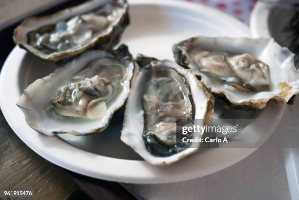 oysters served on a plate at restaurant - ostrica foto e immagini stock