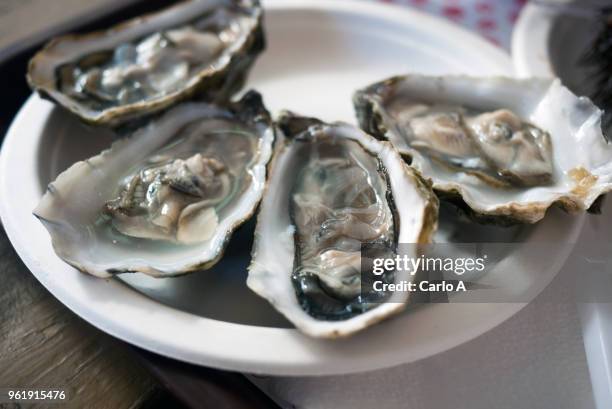 oysters served on a plate at restaurant - oysters stockfoto's en -beelden