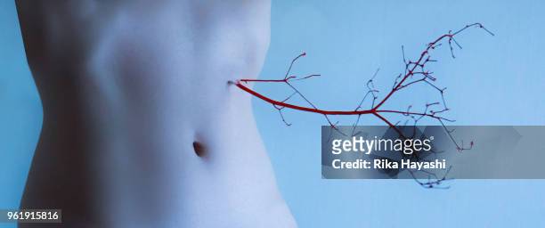 blood vessels growing from the body - hip body part stock pictures, royalty-free photos & images
