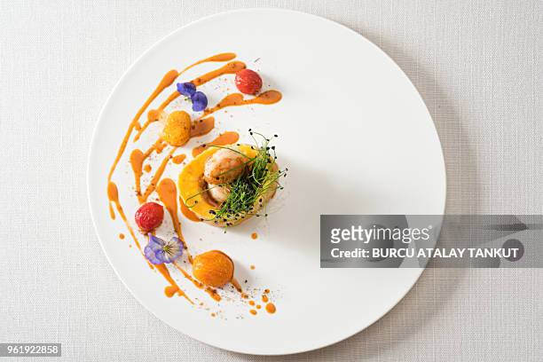 fine dining tortellini - gourmet stock pictures, royalty-free photos & images