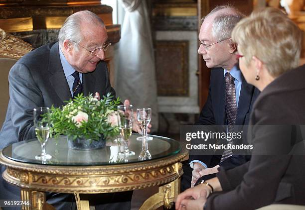 King Albert from Belgium and European President Herman Van Rompuy talk during the New Year reception at Royal Palace on January 26, 2010 in Brussel,...