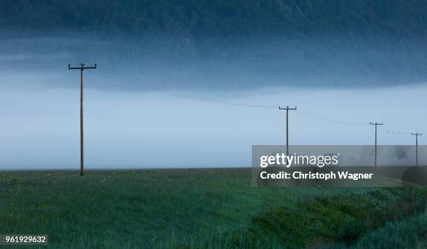 morgens - nebel auf dem land - morgens stock pictures, royalty-free photos & images