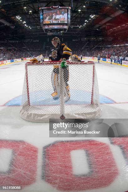 Kaden Fulcher of Hamilton Bulldogs stands in net against the Swift Current Broncos at Brandt Centre - Evraz Place on May 21, 2018 in Regina, Canada.