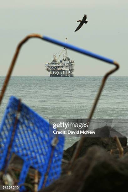 An offshore oil rig and a brown pelican are seen through trash and debris from the run-off of recent storms near the mouth of the San Gabriel River...