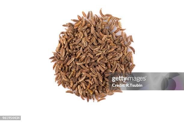 pile of dry caraway seeds isolated on white background - cominho imagens e fotografias de stock
