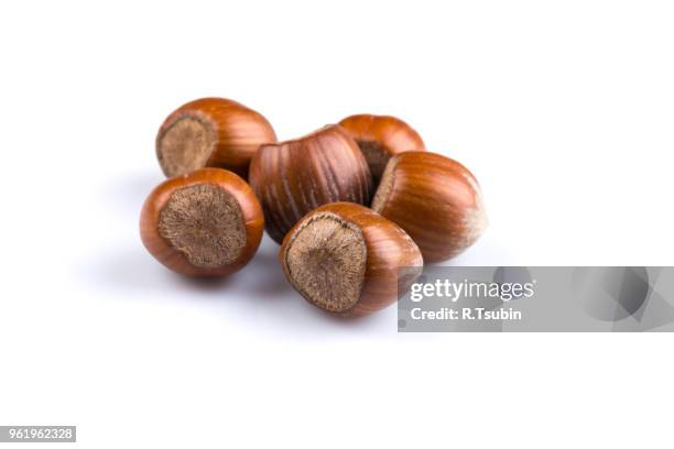 hazelnuts nuts filberts isolated on white background - haselnuss stock-fotos und bilder