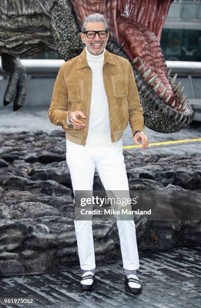 Jeff Goldblum during the 'Jurassic World: Fallen Kingdom' photocall at London Bridge on May 24, 2018 in London, England.