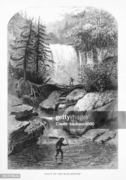 falls of the blackwater, randolph county, west virginia, united states, american victorian engraving, 1872 - west virginia scenic stock illustrations