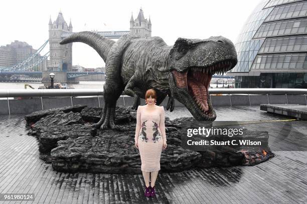 Bryce Dallas Howard attends the 'Jurassic World: Fallen Kingdom' photocall at London Bridge on May 24, 2018 in London, England.