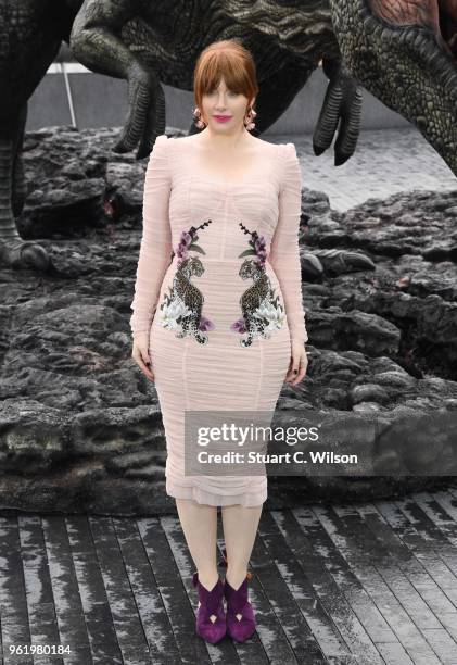 Bryce Dallas Howard attends the 'Jurassic World: Fallen Kingdom' photocall at London Bridge on May 24, 2018 in London, England.