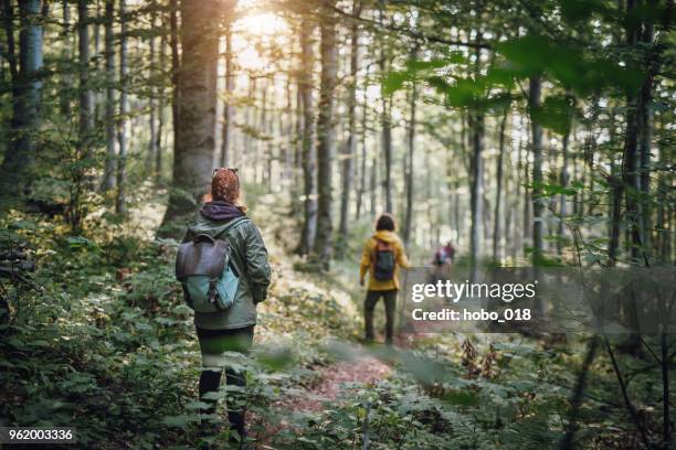 jong (echt) paar op wandelen in het bos - walking stockfoto's en -beelden