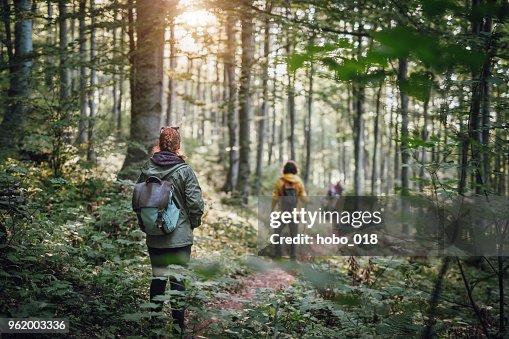 Young couple on hiking in the forest Young couple on hiking in the forest