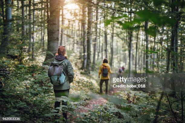 young couple on hiking in the forest - backpacker stock pictures, royalty-free photos & images