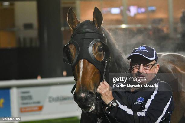 Toorak Warrior after winning the Drouin & District Community Bank BM64 Handicap at Racing.com Park Synthetic Racecourse on May 24, 2018 in Pakenham,...