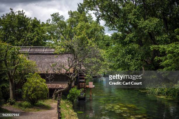 Waterwheel carries spring water from Daio Wasabi Farm into a river on May 24, 2018 in Azumino, Japan. Operating since 1923 in Azumino, one of Japan's...