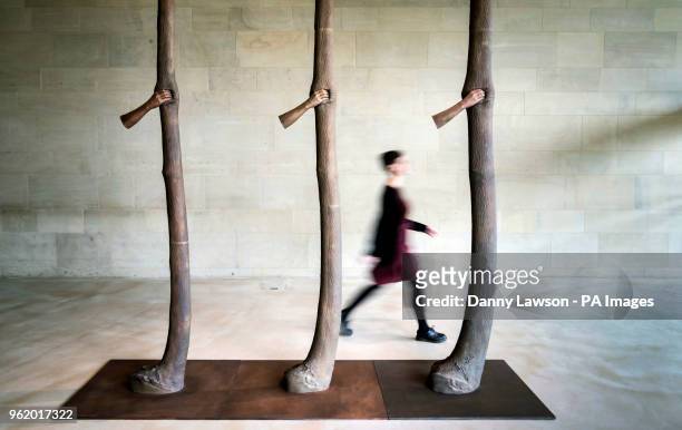 Kerry Chase walks past a sculpture titled Trattenere 6 12 anni di crescita by artist Giuseppe Penone, part of a new exhibition at Yorkshire Sculpture...