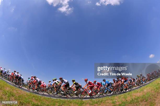 Maurits Lammertink of The Netherlands and Team Katusha-Alpecin / Mikel Nieve Ituralde of Spain and Team Mitchelton-Scott / Landscape / Peloton /...