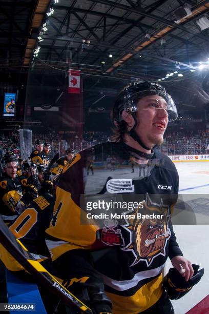 Will Bitten of Hamilton Bulldogs stands on the bench and chirps the bench of the Acadie-Bathurst Titan at Brandt Centre - Evraz Place on May 22, 2018...