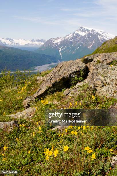 primavera en paso thompson - montañas de chugach fotografías e imágenes de stock