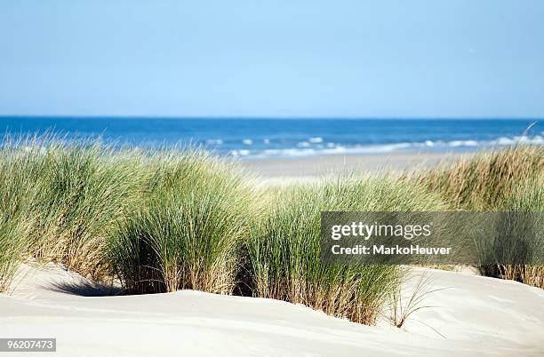 relaxing view of dunes, grass, beach and sea - dunes stockfoto's en -beelden