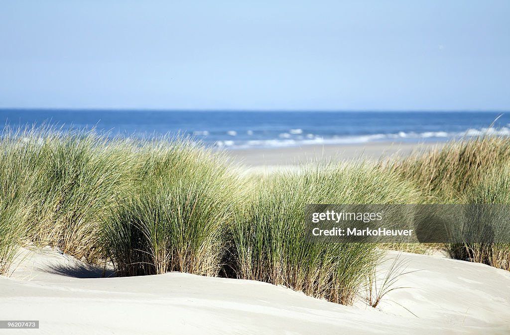 Relaxing view of dunes, grass, beach and sea