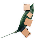 Flat lay Kraft notebooks over green leaf, minimal workspace mock up