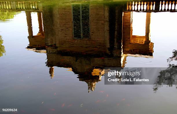 reflection on a pond - lola falantes stock-fotos und bilder