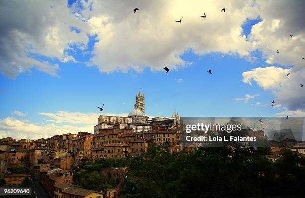 picturing siena - lola falantes stock pictures, royalty-free photos & images