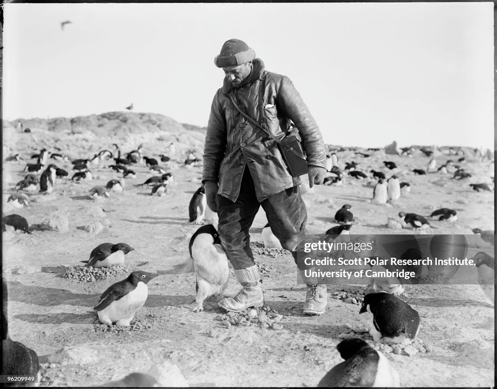 Terra Nova Expedition