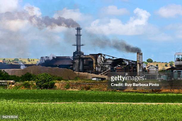 usina - plant - refinería de azúcar fotografías e imágenes de stock