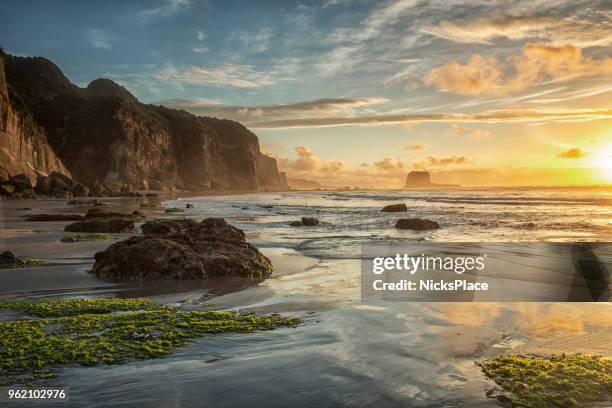 motukiekie beach - new zealand beach stock pictures, royalty-free photos & images