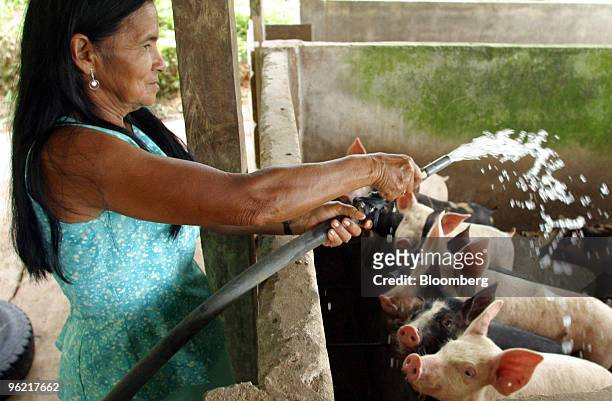 Maria Ruth Diaz washes pigs just outside of Orito, in the southern state of Putumayo, Colombia on Wednesday, November 2, 2005. As part of Plan...