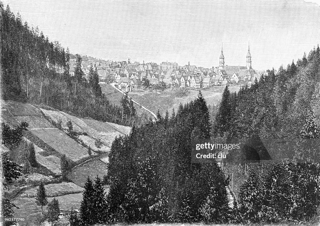 Ville de Freudenstadt dans la forêt noire, vue partir de Schöneck