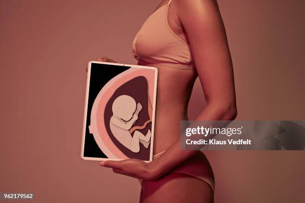 pregnant young woman holding tablet in front of belly to display baby - femme main ventre photos et images de collection