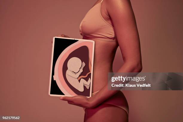 pregnant young woman holding tablet in front of belly to display baby - foetus stockfoto's en -beelden