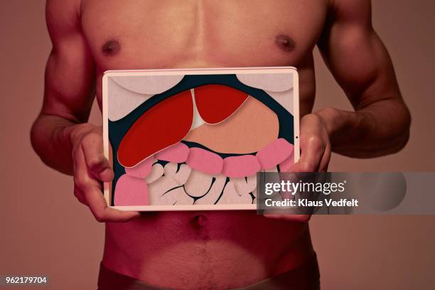 young man holding tablet in front of body to display stomach & intestines - abdomen xray stock pictures, royalty-free photos & images