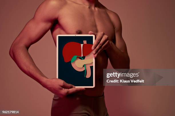 young man holding tablet in front of body to display liver - liver cancer stock-fotos und bilder