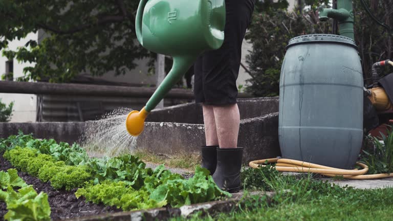 imagen en miniatura de vídeo