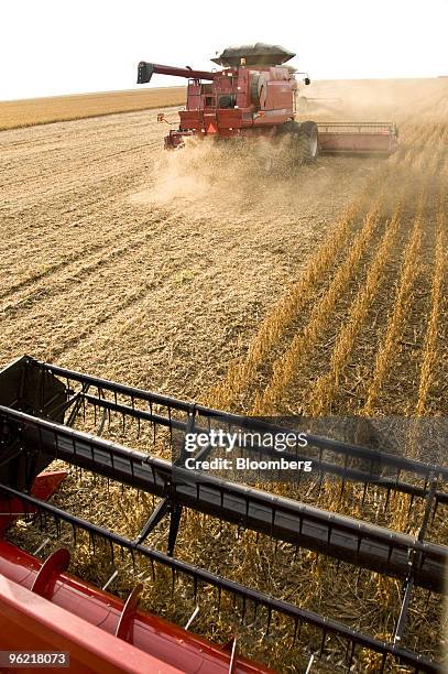 Soybeans are harvested at the Fartura Farm in Campo Verde, Brazil, on Saturday, March 1, 2008. Soybean output in Brazil, the world's largest producer...